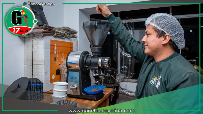 Programa Avanzar Rural impulsa la producción de café beneficiando a cerca de 5000 familias