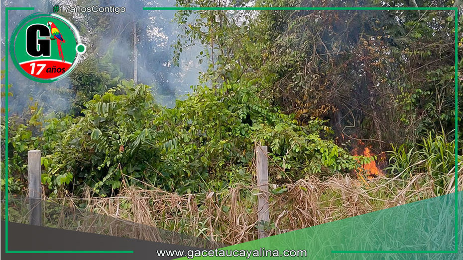 Alcalde de Sepahua promueve medidas contra incendios en la Amazonía