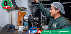 Programa Avanzar Rural impulsa la producción de café beneficiando a cerca de 5000 familias