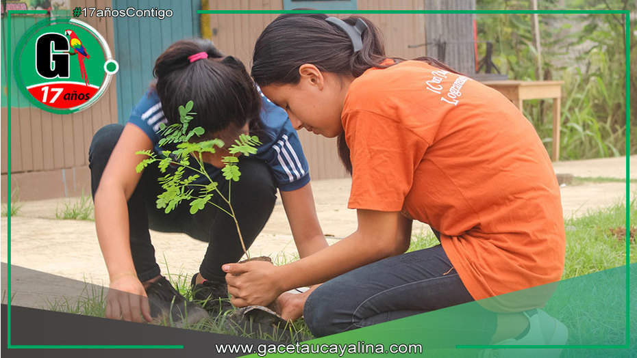 Municipalidad de Atalaya organiza evento de reforestación y concientización
