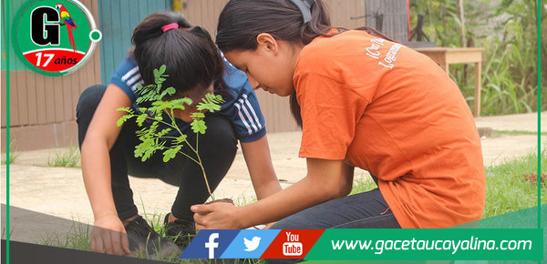 Municipalidad de Atalaya organiza evento de reforestación y concientización