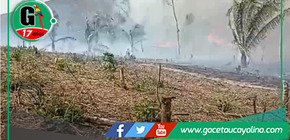 Se ha registrado un incendio forestal en la reserva natural Pacaya Samiria, según Sernanp.