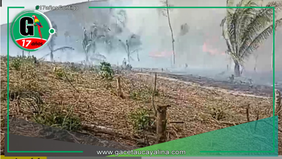Se ha registrado un incendio forestal en la reserva natural Pacaya Samiria, según Sernanp.