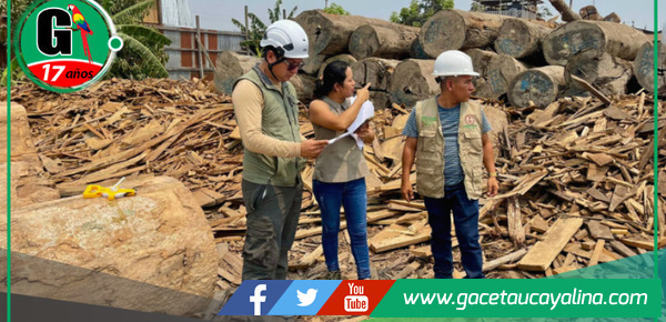 OSINFOR y los gobiernos regionales de la Amazonía colaboran para fortalecer la supervisión de los centros de transformación primaria
