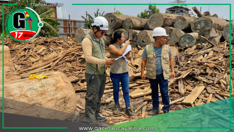 OSINFOR y los gobiernos regionales de la Amazonía colaboran para fortalecer la supervisión de los centros de transformación primaria