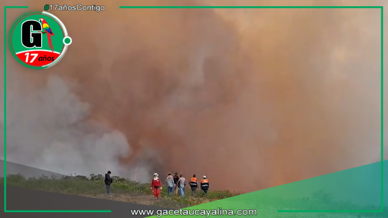 Lámud enfrenta devastación forestal: Expertos revelan desafíos y oportunidades en la recuperación post-incendios