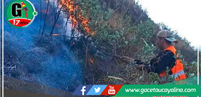 Más de 100 hectáreas de pino y eucalipto arrasadas