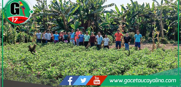 Proyecto de maní impulsa economía y nutrición infantil en Tahuanía
