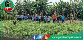 Proyecto de maní impulsa economía y nutrición infantil en Tahuanía