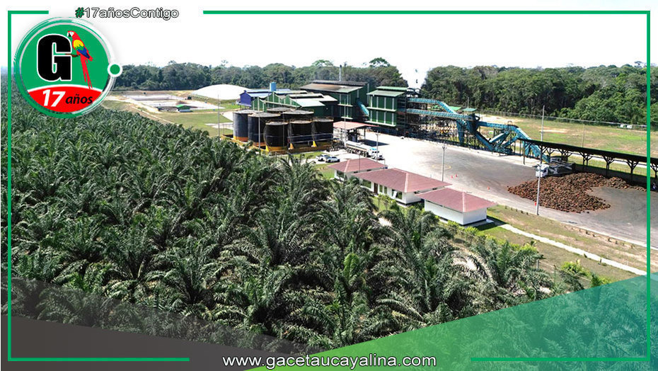 Ocho sur no tiene ningún proyecto de Palma Aceitera en CC. San Francisco
