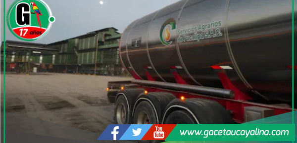 Ocho Sur apunta a China con su producción de aceite de palma.