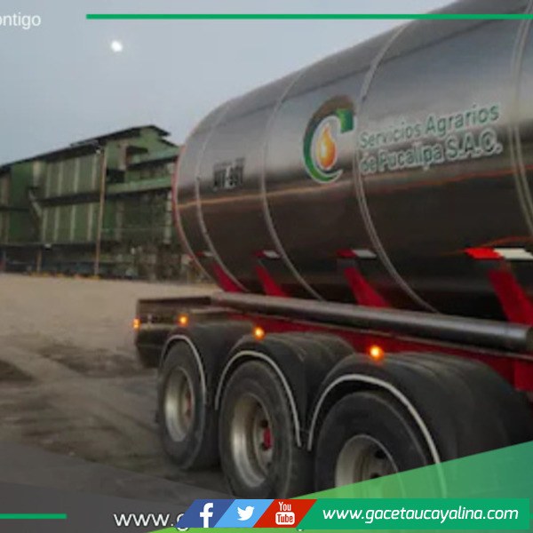 Ocho Sur apunta a China con su producción de aceite de palma.