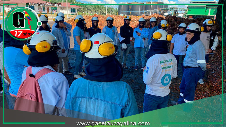 Palmicultora Ocho Sur abre sus puertas con programa de pasantías para la Academia