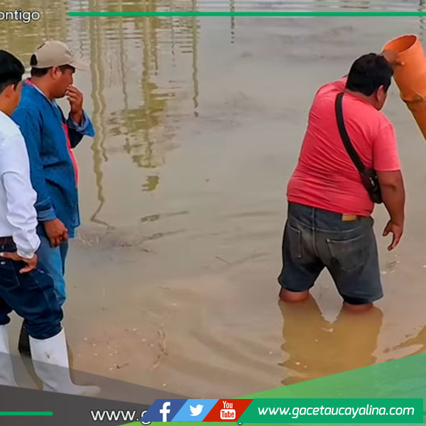 Sepahua verifica estanques para certificar a acuicultores