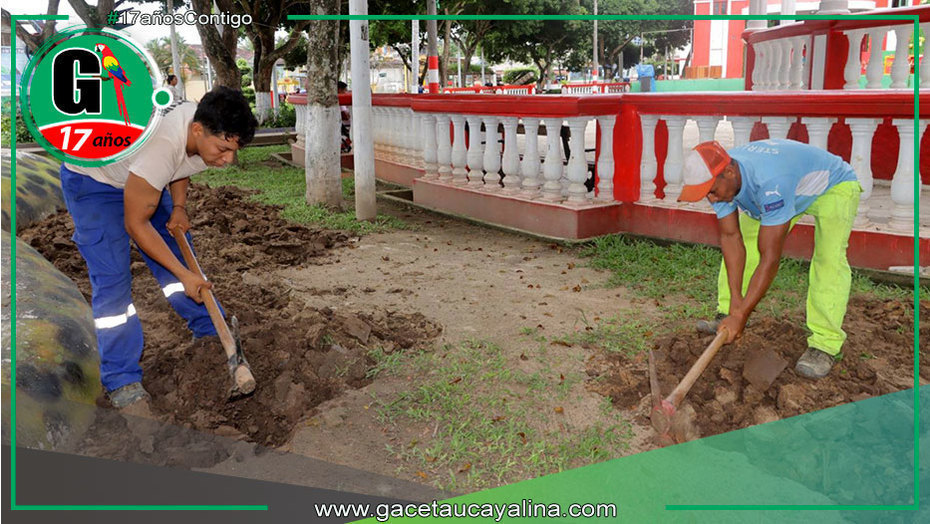Mejoran áreas verdes de Plaza Alfredo Vargas Guerra en Contamana