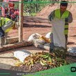 Sepahua convierte residuos orgánicos en abono natural para su biohuerto