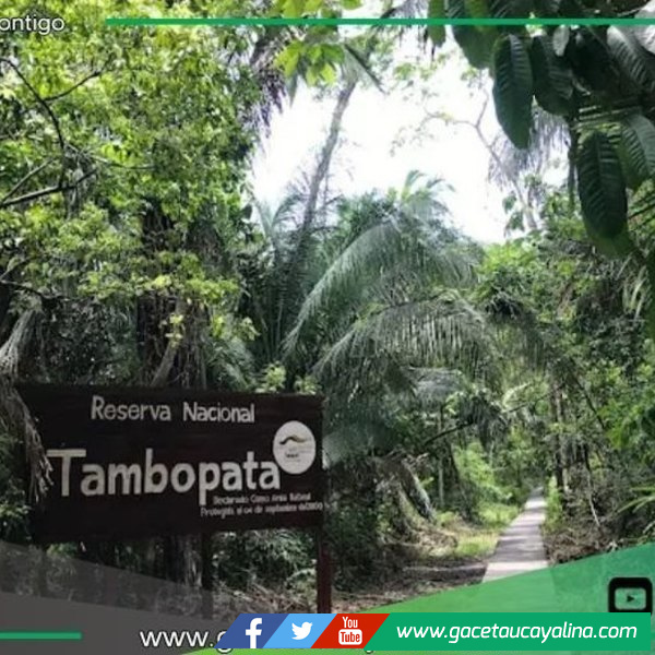Sernanp impulsa la conservación de Tambopata con Nuevo Plan Maestro 2025-2030