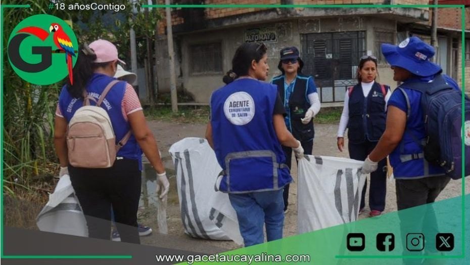 Nueva Cajamarca elimina 37 toneladas de potenciales criaderos del dengue.