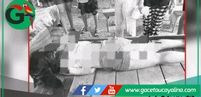 Menor es encontrada sin vida al interior de su gallinero en Yarinacocha.