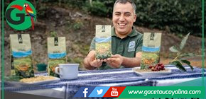 FICAFÉ 2025 servirá diez mil tazas de café amazónico en Chachapoyas