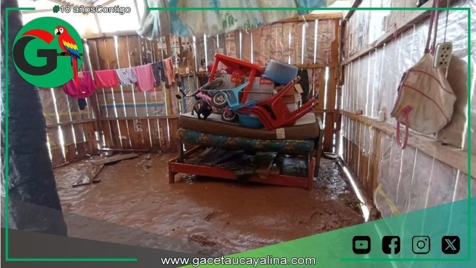 Desborde de ríos afecta viviendas y cultivos en San Martín.