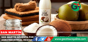 San Martín apuesta por el coco como desarrollo agroindustrial regional