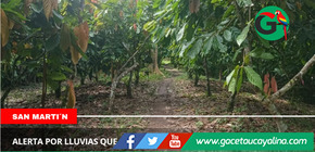 Senamhi alerta por lluvias que afectan cultivos en San Martín