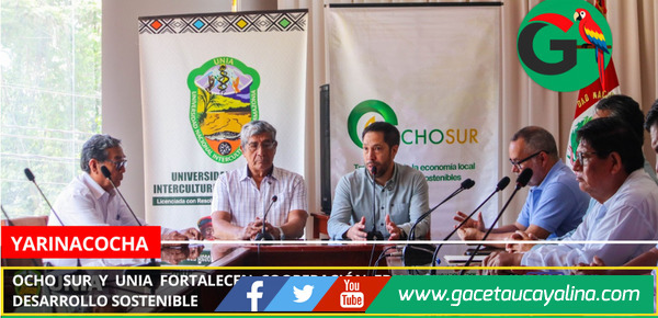 Ocho Sur y UNIA fortalecen cooperación educativa para impulsar desarrollo sostenible