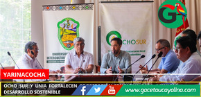 Ocho Sur y UNIA fortalecen cooperación educativa para impulsar desarrollo sostenible