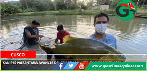 Sanipes presentará avances del programa Arel en Pichari Cusco