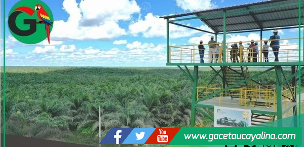 Ocho Sur reafirma su compromiso con el medioambiente y la protección del bosque