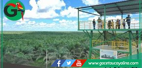 Ocho Sur reafirma su compromiso con el medioambiente y la protección del bosque