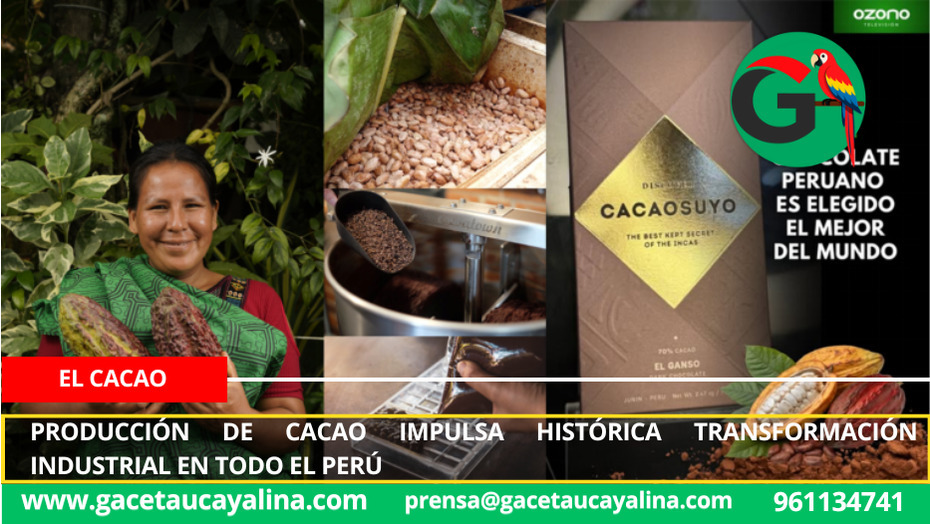 Producción de cacao impulsa histórica transformación industrial en todo el Perú