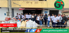 San Martín elimina criaderos para prevenir dengue ante inicio de lluvias