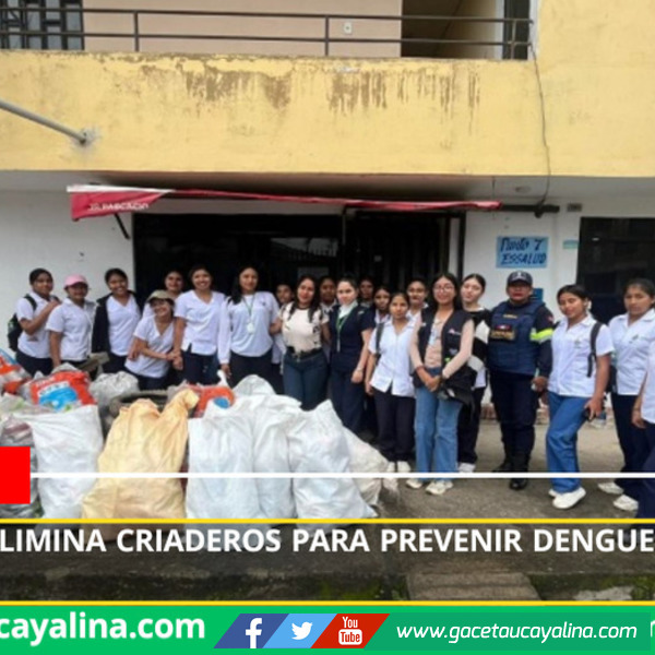 San Martín elimina criaderos para prevenir dengue ante inicio de lluvias