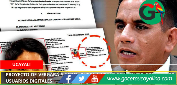 Proyecto de Vergara y Soto busca limitar contenido creado por usuarios digitales