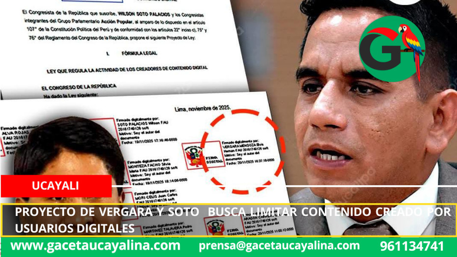 Proyecto de Vergara y Soto busca limitar contenido creado por usuarios digitales