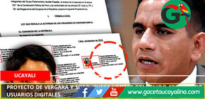 Proyecto de Vergara y Soto busca limitar contenido creado por usuarios digitales