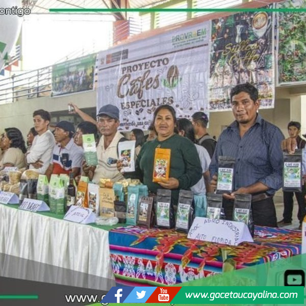 Más de 500 productores fortalecen cultivos de cacao y café sostenibles