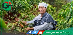 Chachapoyas será capital del café especial con Ficafé Amazonas 2025