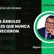 Los árboles digitales que nunca crecieron