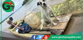 Hallan embarcación y mascota de hombre desaparecido en río Ucayali