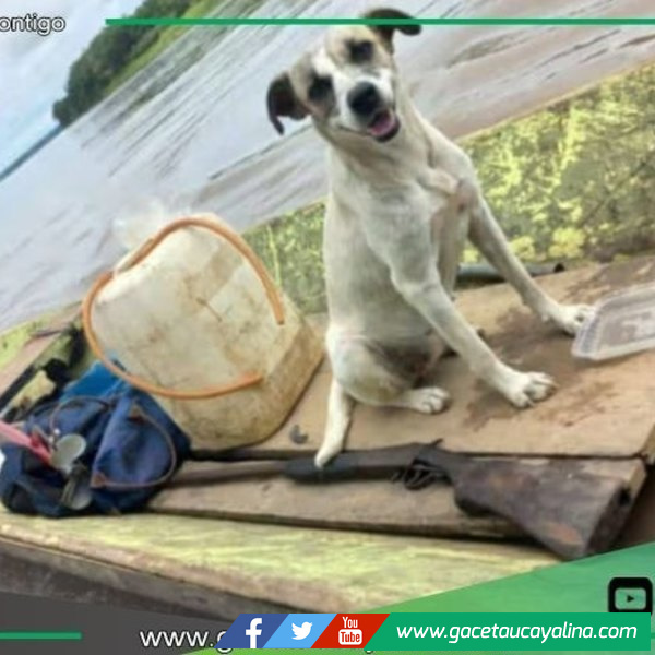 Hallan embarcación y mascota de hombre desaparecido en río Ucayali