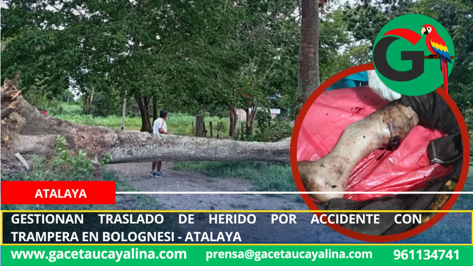Gestionan traslado de herido por accidente con trampera en Bolognesi - Atalaya