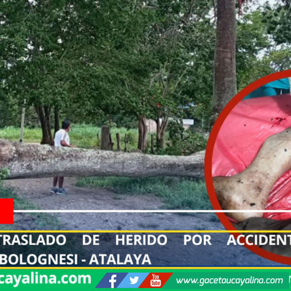 Gestionan traslado de herido por accidente con trampera en Bolognesi - Atalaya