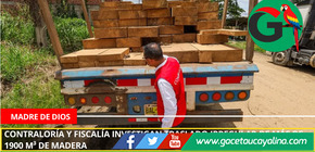 Control posterior confirma irregularidades en el aprovechamiento forestal en Madre de Dios