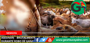 Asesinan brutalmente a agricultor con discapacidad durante robo de ganado en Neshuya.