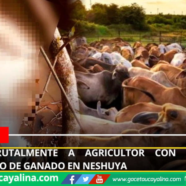 Asesinan brutalmente a agricultor con discapacidad durante robo de ganado en Neshuya.