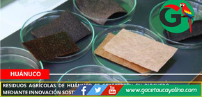Residuos agrícolas de Huánuco se convierten en biocuero mediante innovación sostenible
