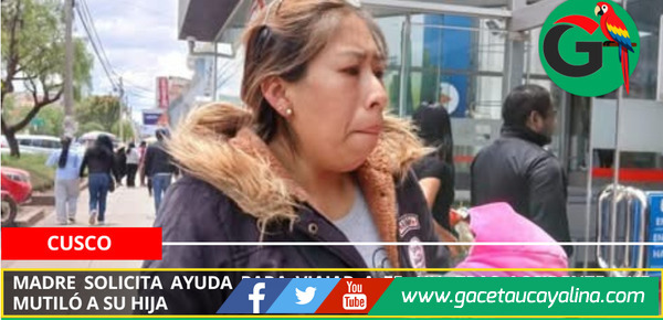 Madre solicita ayuda para viajar a EE. UU. tras accidente que mutiló a su hija